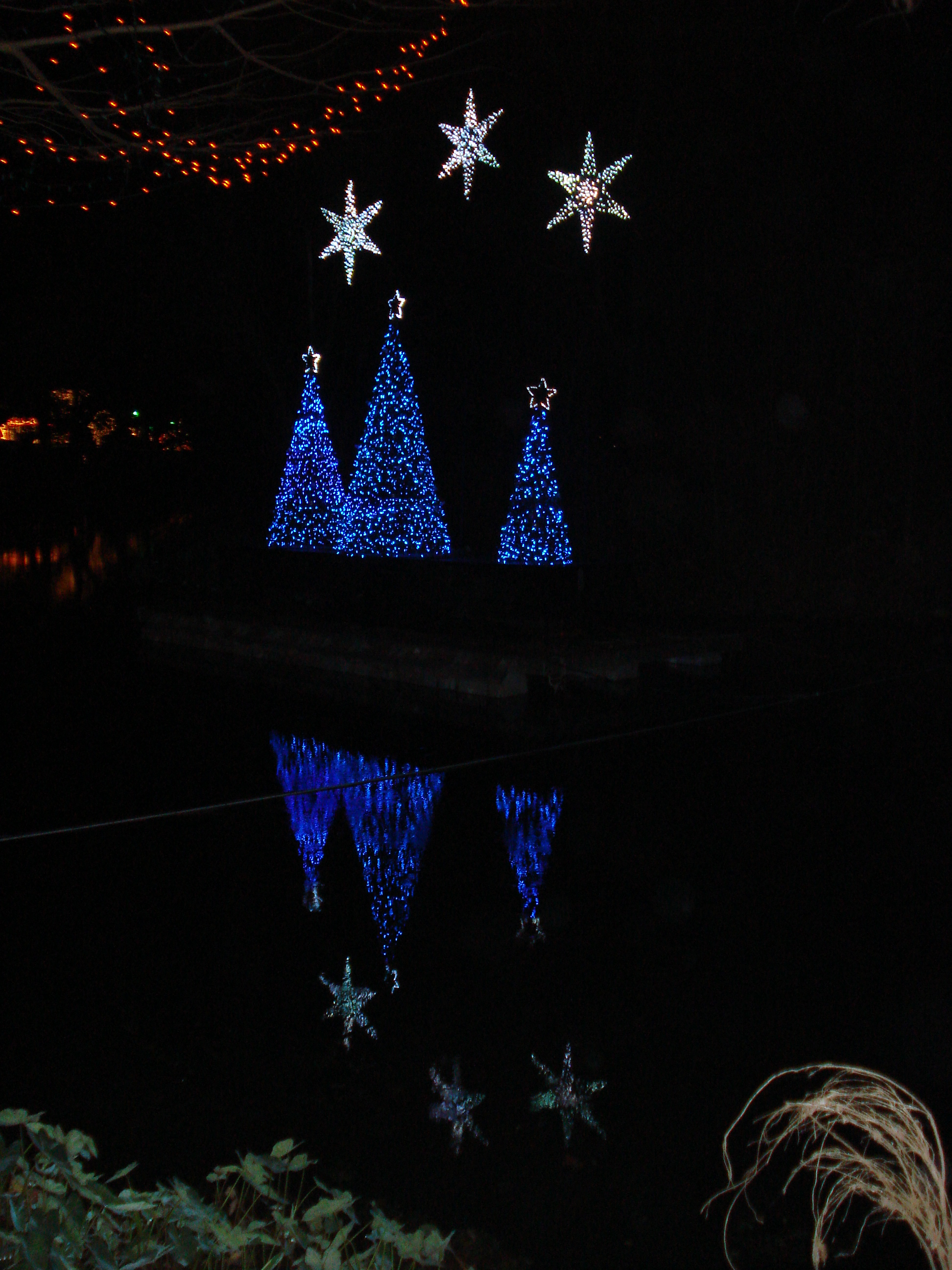 DSC02679.JPG